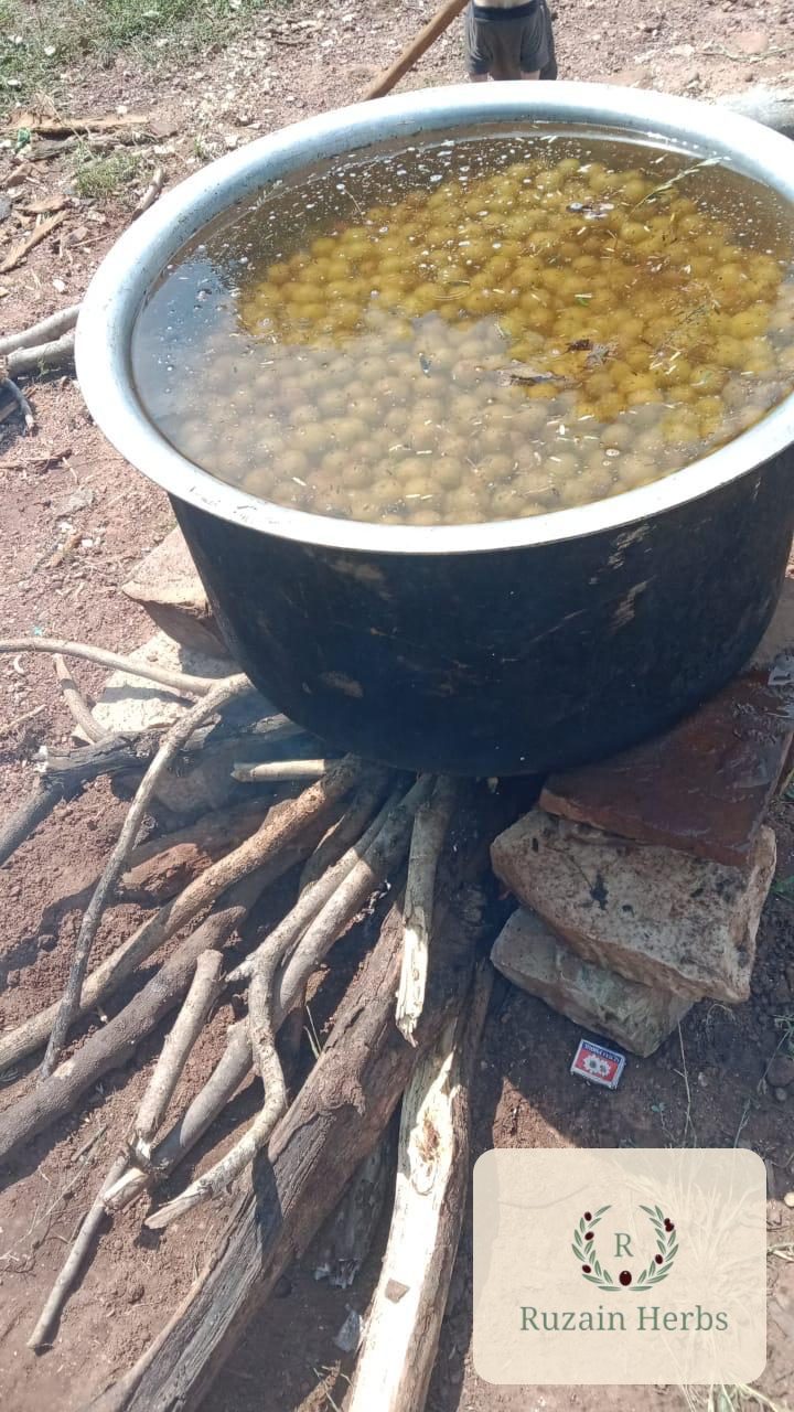 Amla being processed over a wood fire before drying